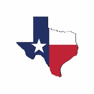 Texas icon